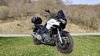 Yamaha TDM 900 (2002 - 14) usata