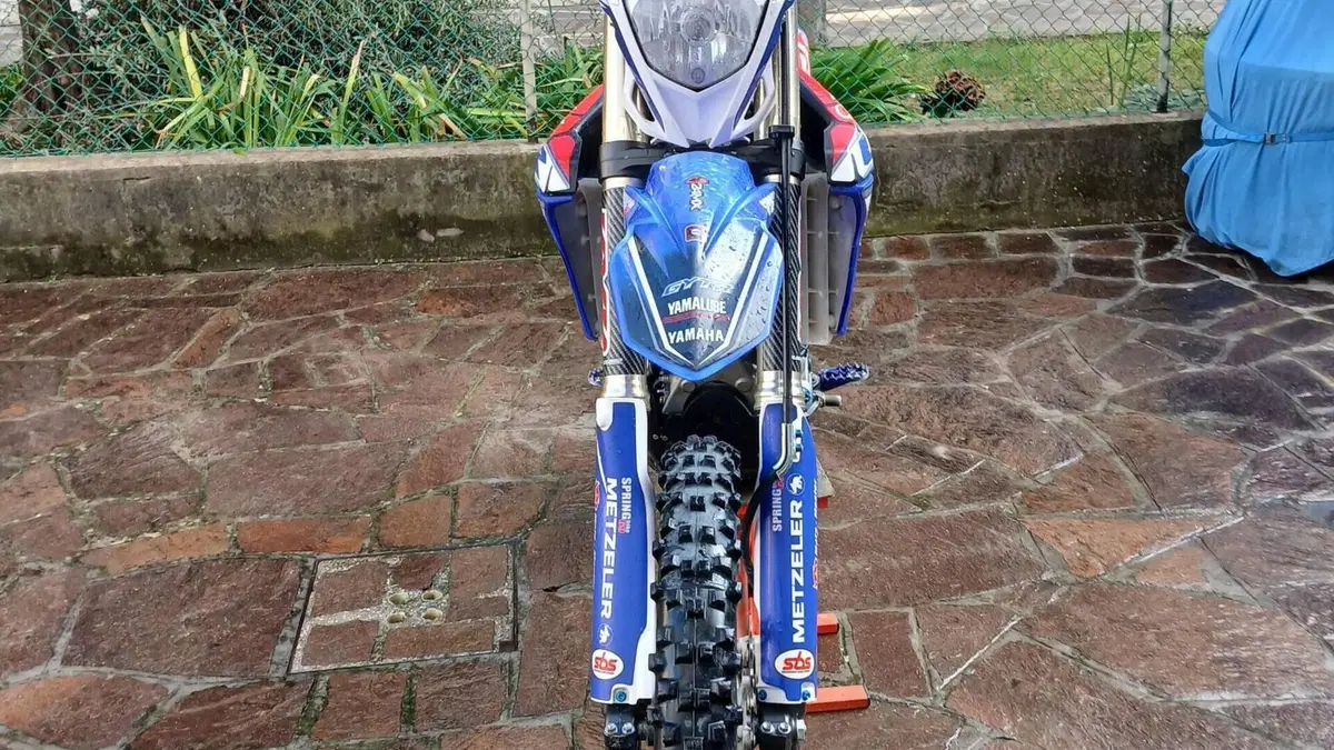 Yamaha WR 250 F (2018)  (4)