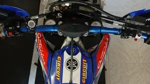 Yamaha WR 250 F (2018)  (10)