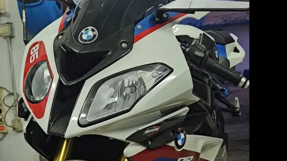 Bmw S 1000 RR (2009 - 12)  (11)