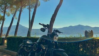 Harley-Davidson 1200 Forty-Eight (2016 - 20)