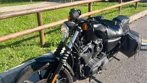 Harley-Davidson 883 Iron (2017 - 20) - XL 883N 