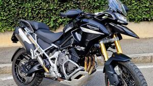 Triumph Tiger 1200 Rally Pro (2022 - 23) 