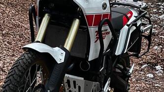 Yamaha Ténéré 700 Rally Edition (2022 - 24) usata