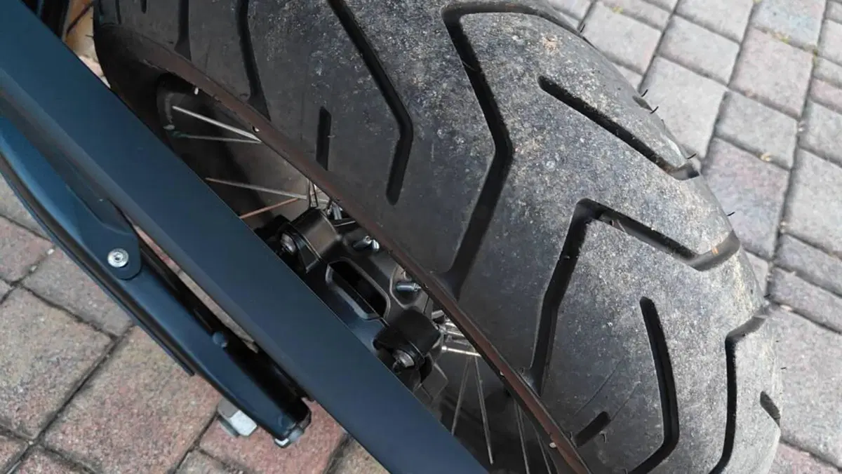 Bmw F 900 GS (2024 - 26)  (9)