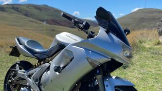 Kawasaki ER-6F (2006 - 08) usata
