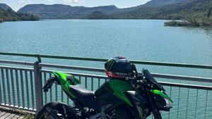 Kawasaki Z 900 Performance (2019) 