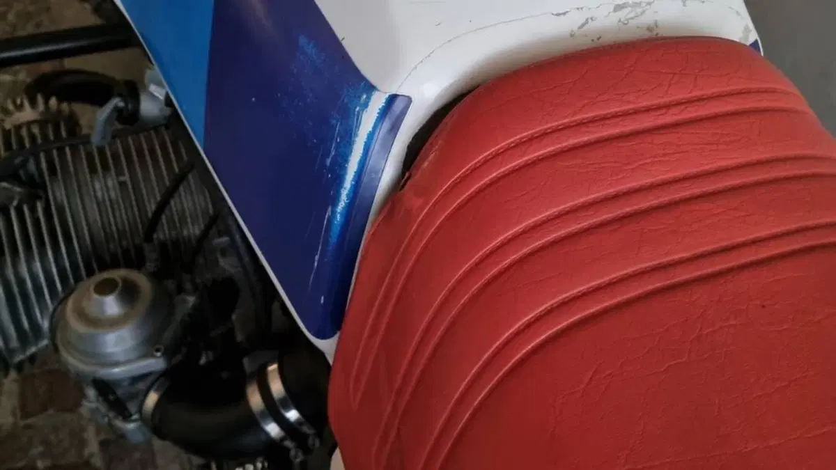 Bmw R 80 G/S (1980 - 87)  (4)