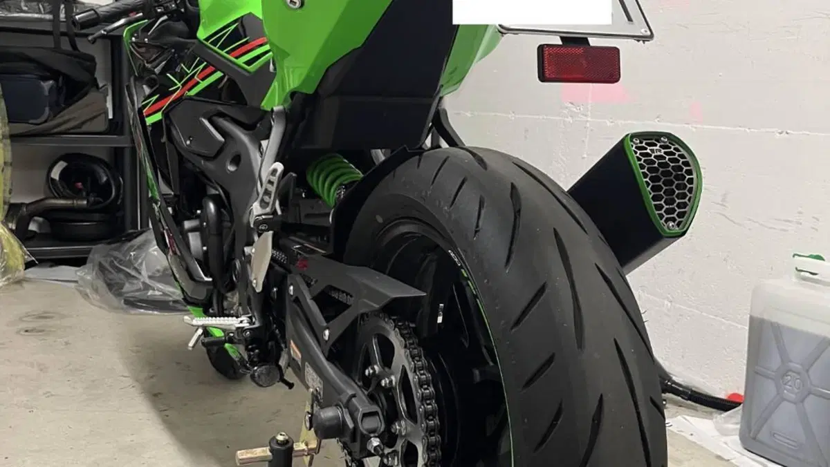 Kawasaki Ninja ZX-4RR (2024 - 26)  (5)