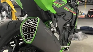 Kawasaki Ninja ZX-4RR (2024 - 26)  (6)
