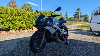 Aprilia Tuono V4 R APRC ABS (2013 - 15) usata