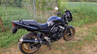 Yamaha FZS 600 Fazer (2002 - 03) usata