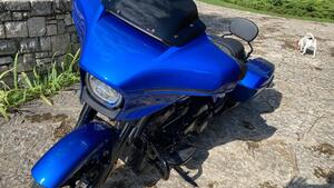 Harley-Davidson Street Glide (2024 - 25) 