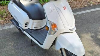 Kymco Like 50 2T (2009 - 19) usata