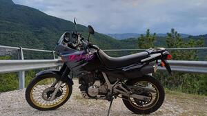 Honda NX 650 Dominator (1991 - 95)