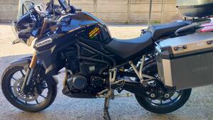 Triumph Tiger 1200 Alpine Edition (2020) 
