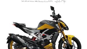 TVS Motor RTR 310 (2024 - 25) 