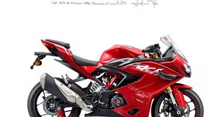 TVS Motor RR 310 (2024 - 25) 