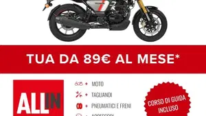 TVS Motor Ronin 250 (2024 - 26)  (2)
