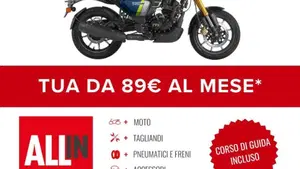 TVS Motor Ronin 250 (2024 - 26)  (2)