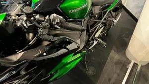 Kawasaki Ninja H2 SX SE (2023 - 26)  (6)