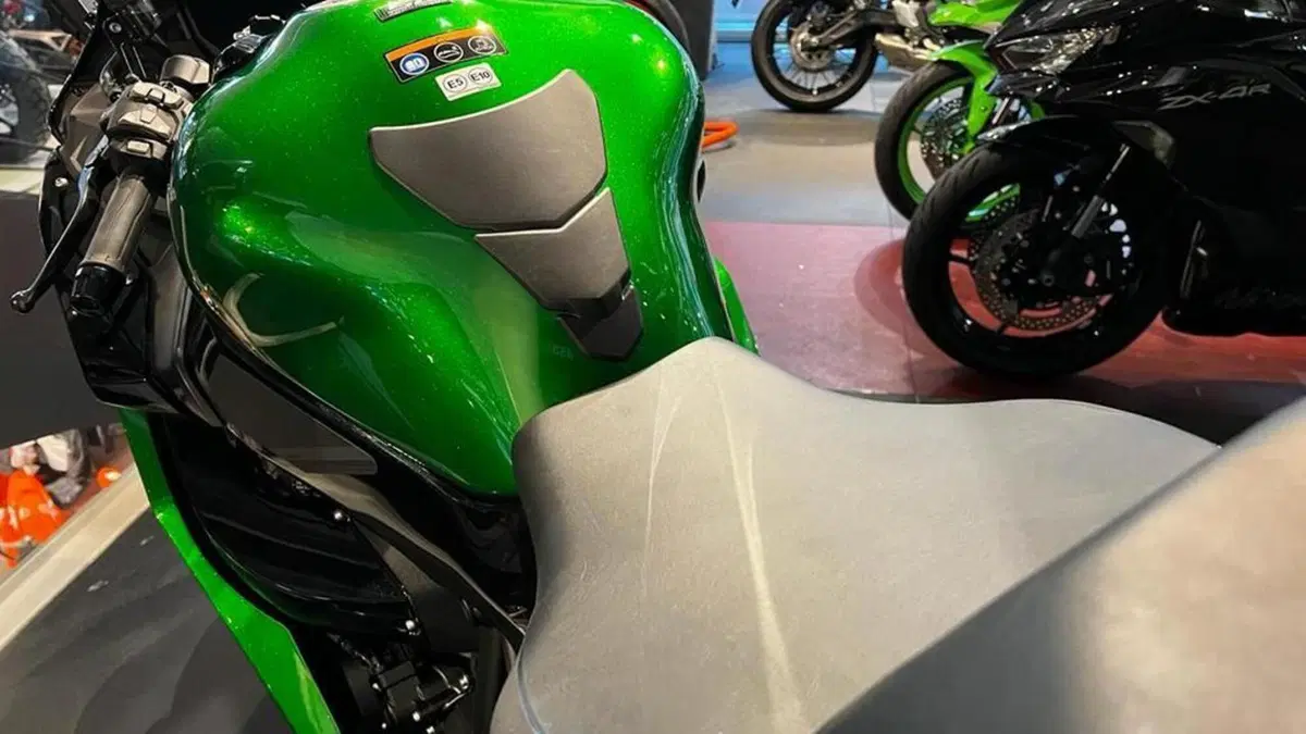 Kawasaki Ninja H2 SX SE (2023 - 26)  (11)