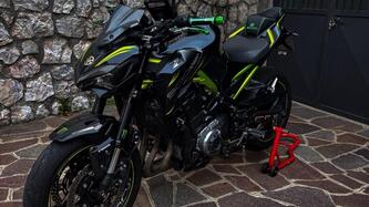 Kawasaki Z 900 Performance (2019)