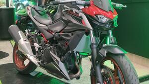 Kawasaki Z 500 SE (2024 - 26)