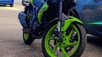 Benelli BN 125 (2021 - 25) usata