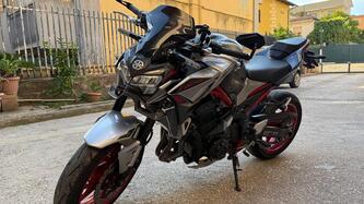 Kawasaki Z 900 Performance (2021 - 24)