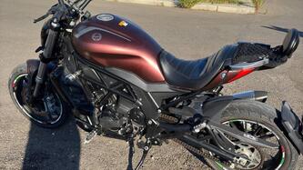 Benelli 502 C (2019 - 20)