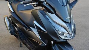 Honda Forza 350 Deluxe (2022 - 24) 