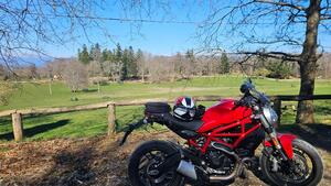 Ducati Monster 797 (2017 - 18) 