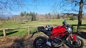 Ducati Monster 797 (2017 - 18)