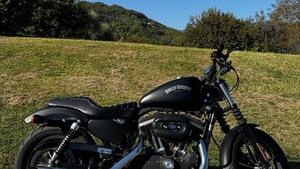 Harley-Davidson 883 Iron (2012 - 14) - XL 883N 