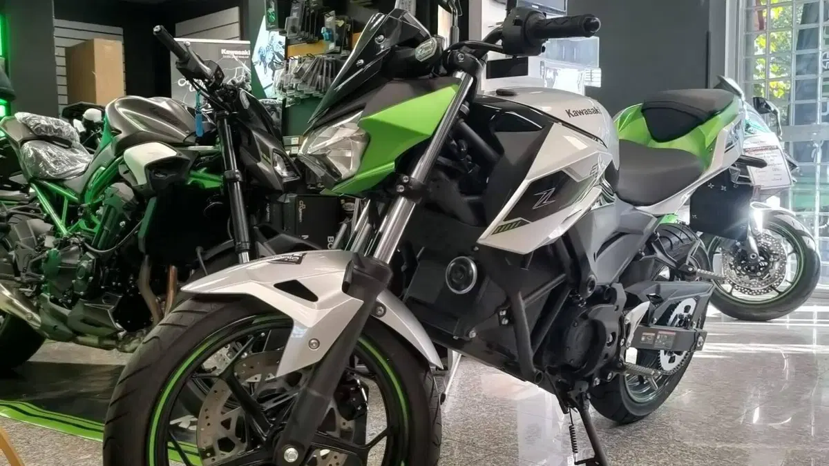 Kawasaki Z e-1 (2024 - 26) 