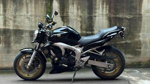 Yamaha FZ6 (2004 - 07) 