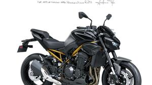 Kawasaki Z 900 (2025 - 26) 