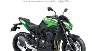 Kawasaki Z 900 (2025 - 26) 