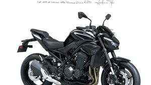 Kawasaki Z 900 A2 (2025 - 26) 