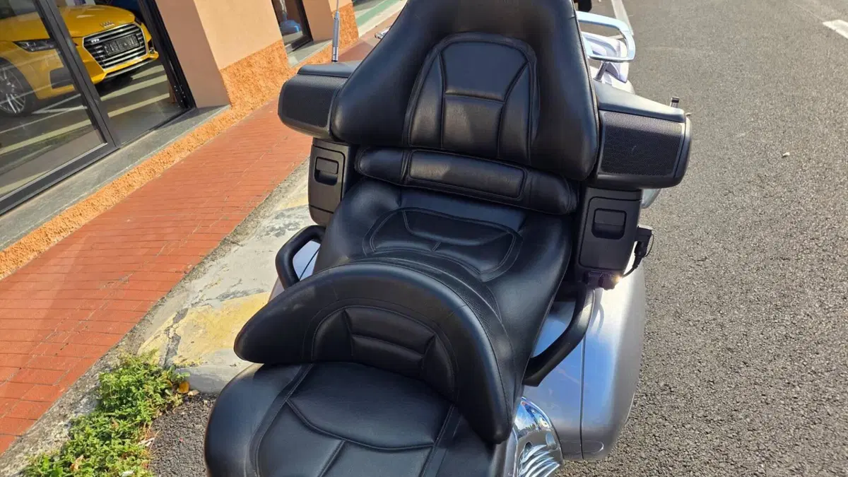 Honda GL 1800 Gold Wing (2007 - 11)  (12)