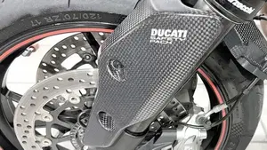 Ducati Hypermotard 821 SP (2013 - 15)  (3)
