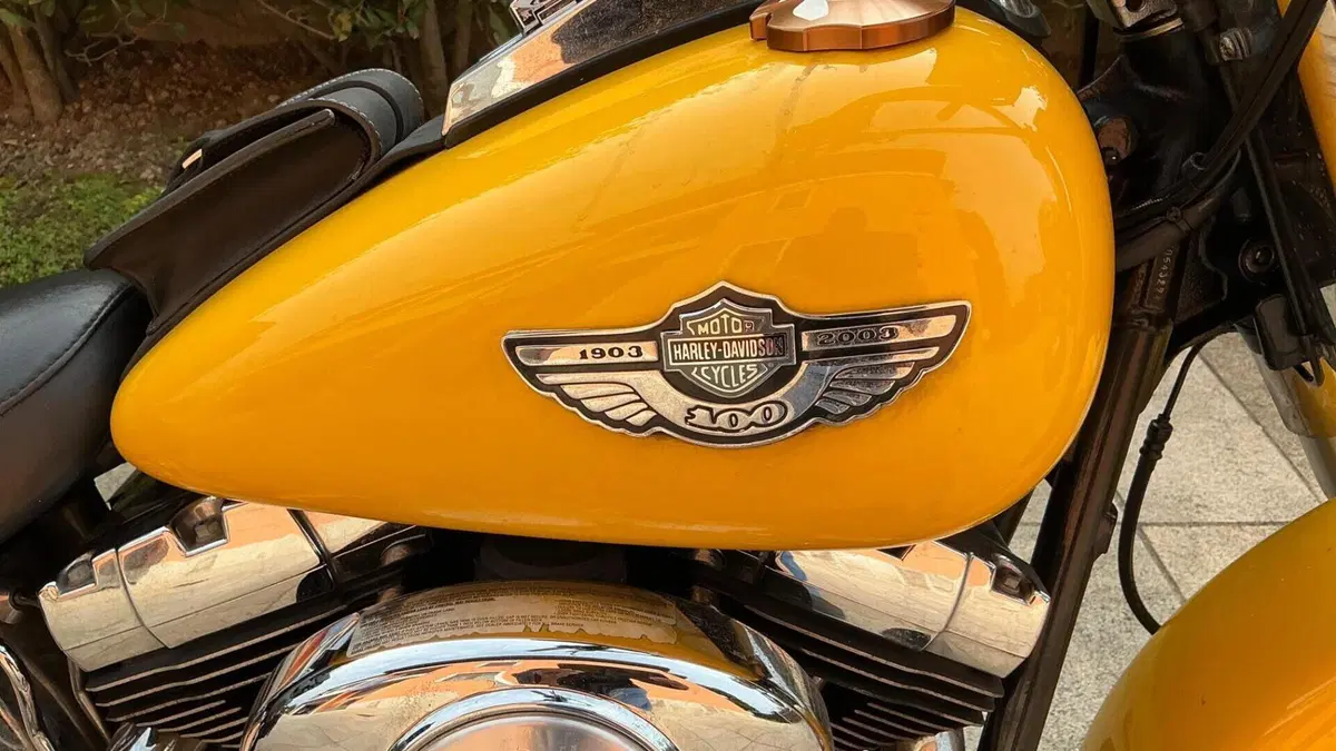 Harley-Davidson 1450 Heritage Classic (2003 - 05) - FLSTCI  (4)