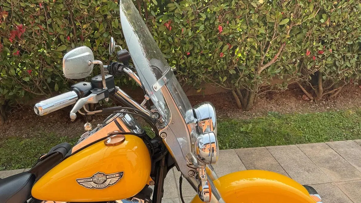 Harley-Davidson 1450 Heritage Classic (2003 - 05) - FLSTCI  (5)
