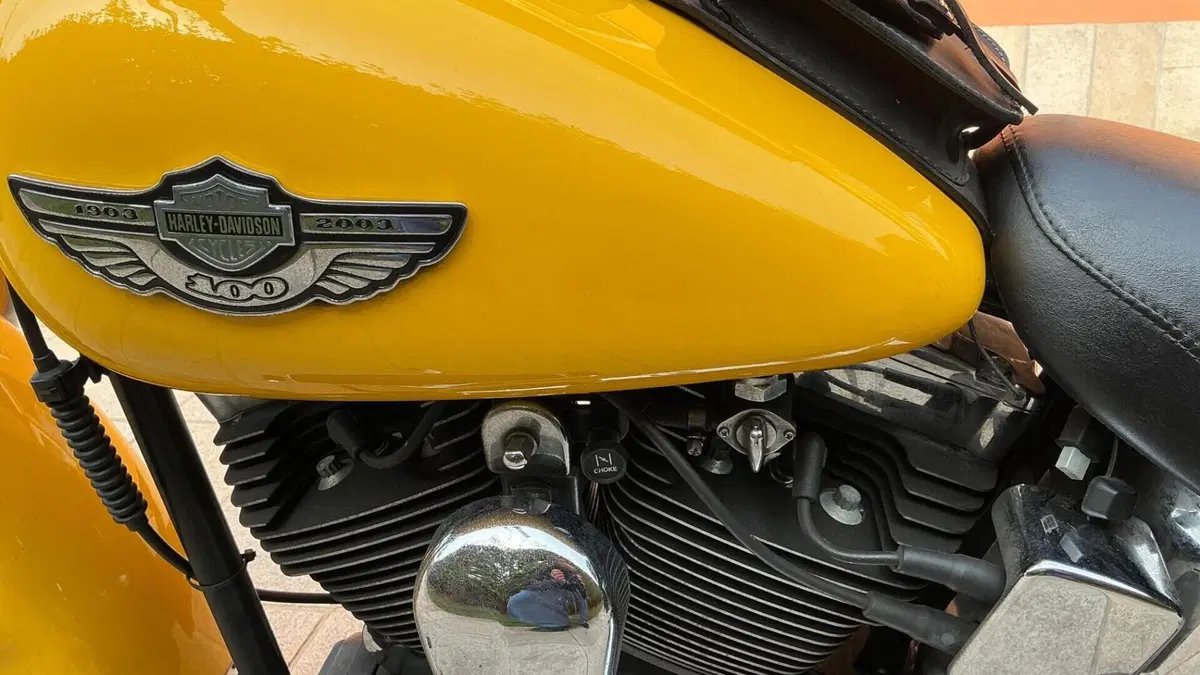 Harley-Davidson 1450 Heritage Classic (2003 - 05) - FLSTCI  (9)