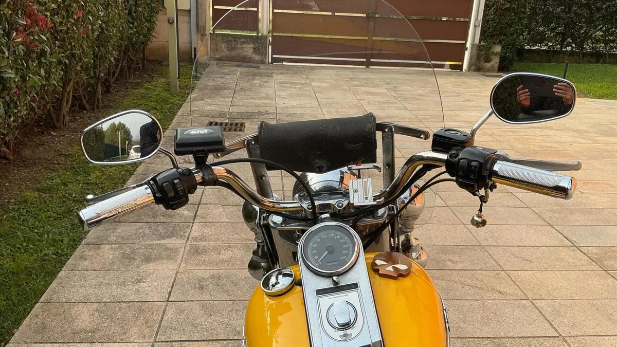 Harley-Davidson 1450 Heritage Classic (2003 - 05) - FLSTCI  (10)