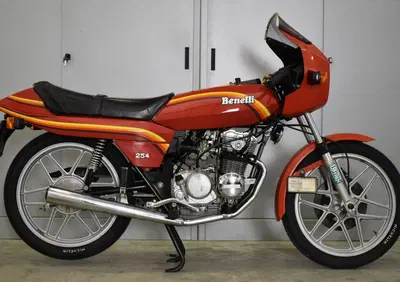 Benelli 254 - Annuncio 9847475