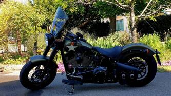 Harley-Davidson 1800 Slim S (2015 - 17) - FLS