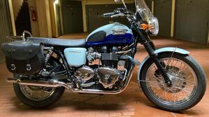 Triumph Bonneville T100 50th Anniversary (2009) 