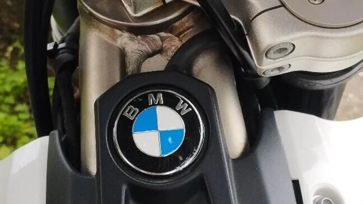 Bmw G 450 X (2008 - 09)  (3)